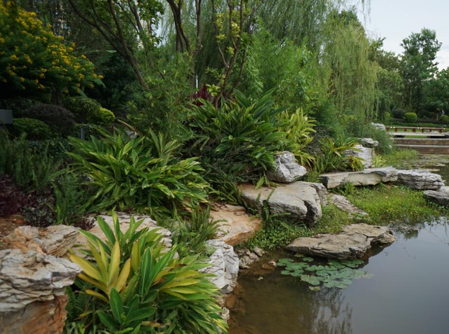 園林綠化工程類別我們如何進行劃分