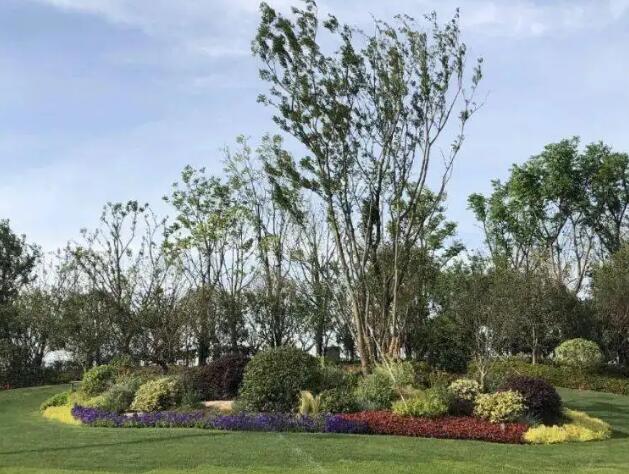 園林綠化工程造價控制要點有哪些？